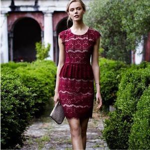 Anthropologie Maeve Elsa Peplum Lace Dress | L